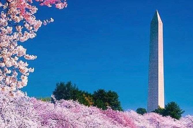 3 Hour Tour Of Washington, D.C. The Nucleus Of Democracy - Three war memorials and the Marine Corps statue
