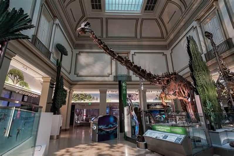 American History/Natural History Museum Combo Guided Tour - Starting on Constitution Avenue