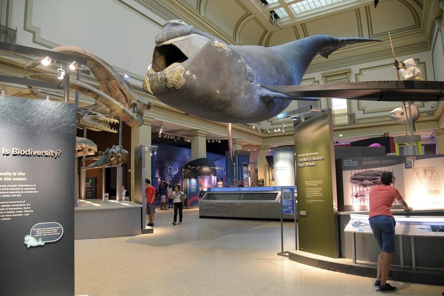 American History/Natural History Museum Combo Guided Tour - The Hope Diamond and a piece of Mars