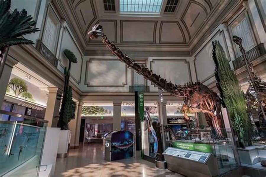 American History/Natural History Museum Combo Guided Tour - What three hours really gives you