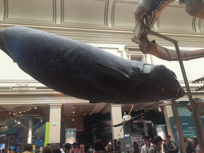American History/Natural History Museum Combo Guided Tour - American History Museum: 90 minutes with the nation’s objects