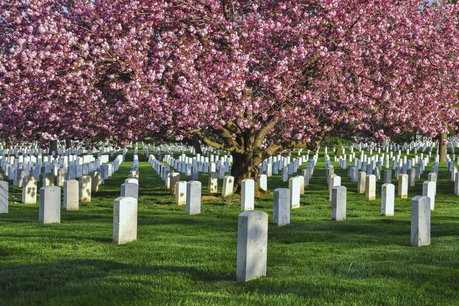 Arlington Cemetery Walk with National Mall Night Bus Tour - Who should book this experience?