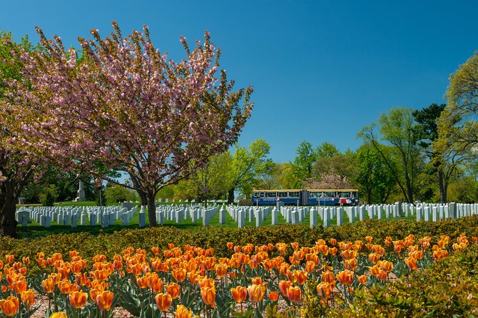 Arlington National Cemetery Hop-On Hop-Off Tour - Stop 5: The Tomb of the Unknown Soldier