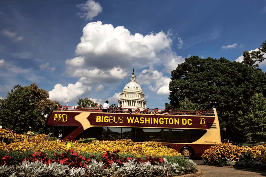 Best of DC: Hop-on Hop-off Bus Tour & Night Tour (Save 40%) - Key points to know before booking