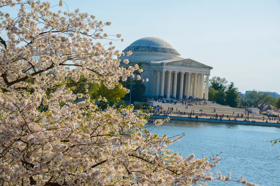 Best of DC: Hop-on Hop-off Bus Tour & Night Tour (Save 40%) - Using the National Mall as your main sightseeing base