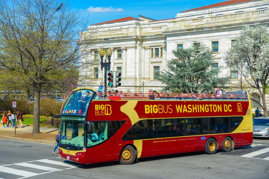 Best of DC: Hop-on Hop-off Bus Tour & Night Tour (Save 40%) - Museums, the Library of Congress, and the Spy Museum