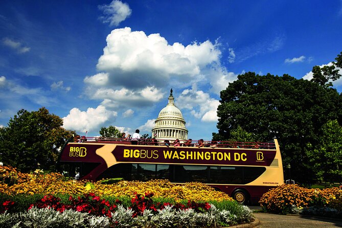 Best of DC: Hop-on Hop-off, Night Tour, and Arlington Audio Guide - Key points before you book