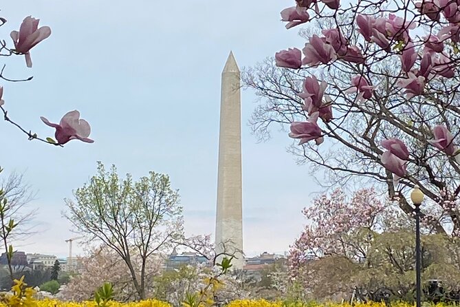 Beyond the Closet Walking Tour - Who should book this walking tour?