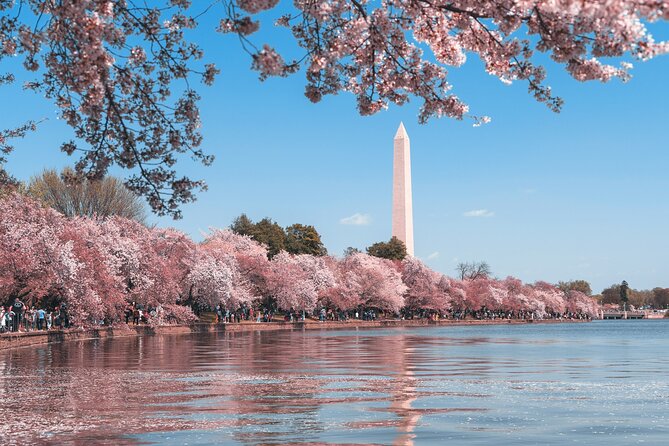 Cherry Blossom & Monuments Tour with Washington Monument, Museums - Lincoln Memorial: the tour’s essential stop