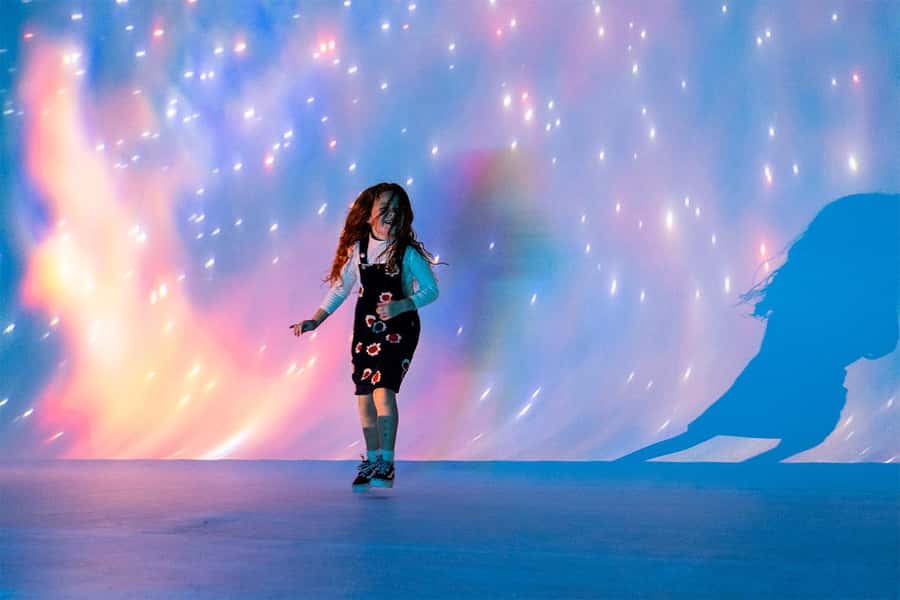 DC: All Creation Sings- Museum of the Bible Exhibition Entry - Key points to know before you go