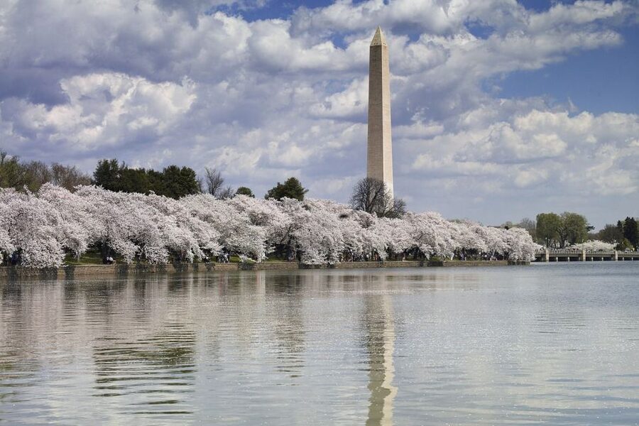 DC Bus Tour with Optional Washington Monument or Air & Space - The White House and Capitol: powerful exteriors only