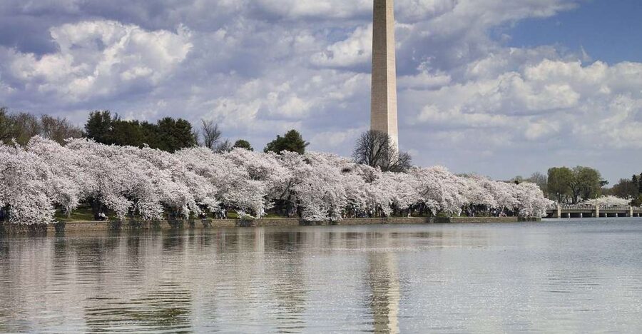 DC Bus Tour with Optional Washington Monument or Air & Space - Lincoln Memorial: the tour’s grand finish