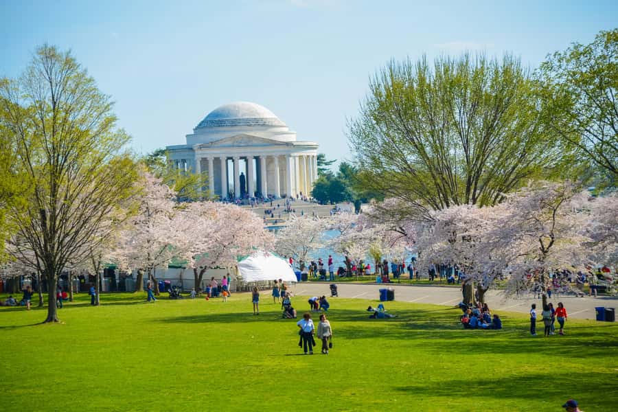 DC: Hop-on Hop-off Tour by Open-top Bus with 17 Stops - The Smithsonian museums and downtown stops