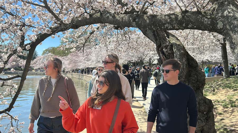 DC: National Mall 2.5 Hr Tour & Washington Monument Tickets - Why the Washington Monument ticket changes the day