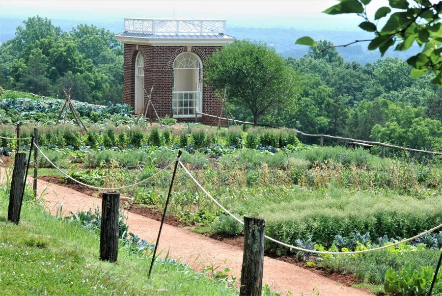DC: Private Day Trip to Thomas Jefferson’s Monticello Estate - Why Monticello makes a worthwhile day trip from Washington DC