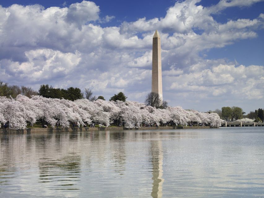 DC: Tour with U.S. Capitol Ground Access - Iwo Jima Memorial and the views across the river