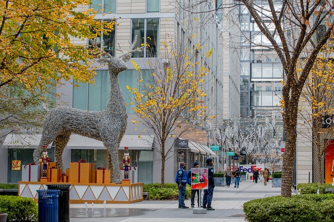 Downtown DC Holiday Tour: Lights, Decorations & Festive Cheer - Starting at the Downtown DC Holiday Market