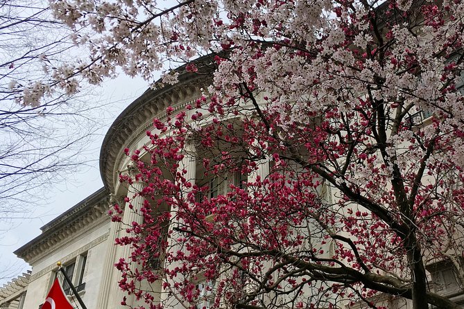 Dupont Circle and Embassy Row Architectural Walking Tour - Washington’s Spanish Steps and the Hobbitt House