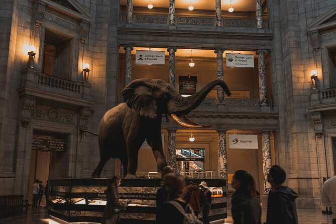 Essential Smithsonian Tour with NMAAHC Timed Entry - Starting with elephants, fossils, and the Hope Diamond