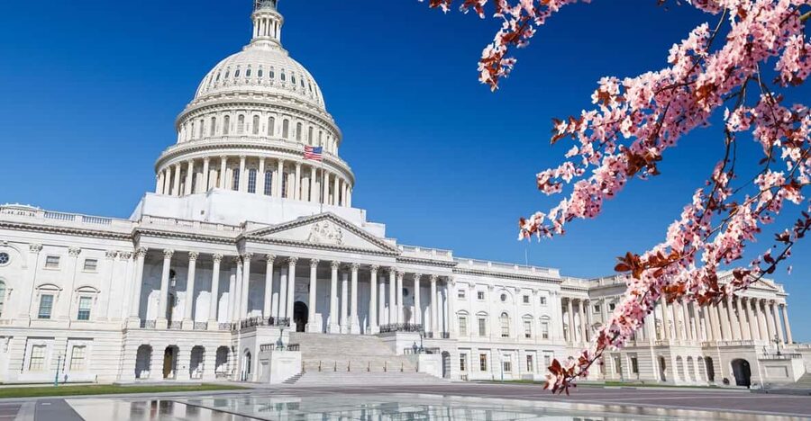 Full Day Washington DC & Mount Vernon Tour - Alexandria adds a change of pace