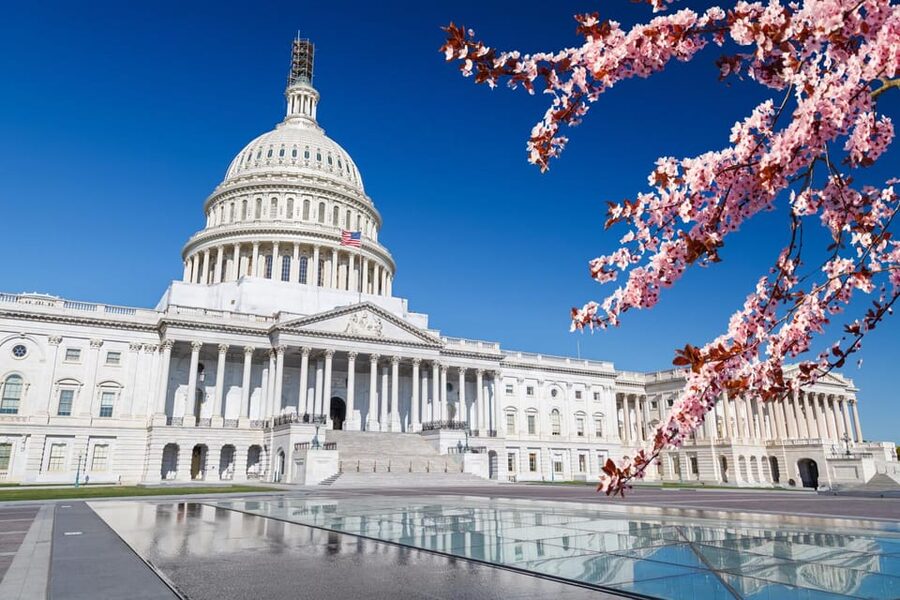 Full Day Washington DC & Mount Vernon Tour - Mount Vernon is the day’s main attraction