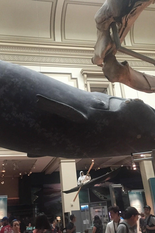 Guided Tour of The Natural History Museum - Entering at 900 Constitution Avenue NW