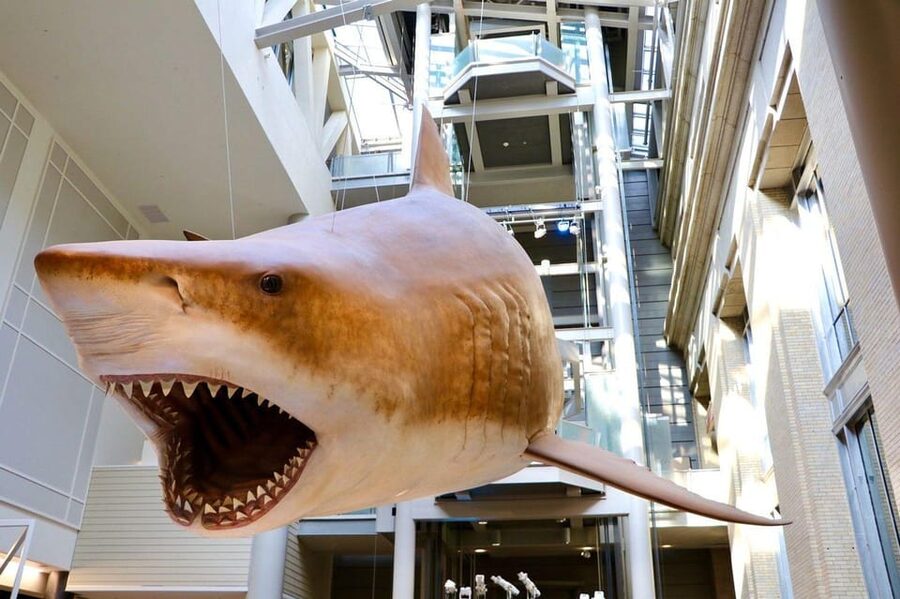 Guided Tour of The Natural History Museum - Booking, cancellations, and group details