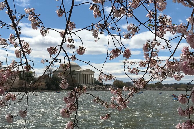 Half-Day Private Guided Bike Tour in Washington - The Supreme Court and Robert A. Taft Memorial