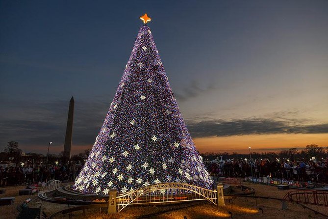 Holiday Lights Tour of Washington DC and Old Town Alexandria - Two views of the Capitol Christmas Tree