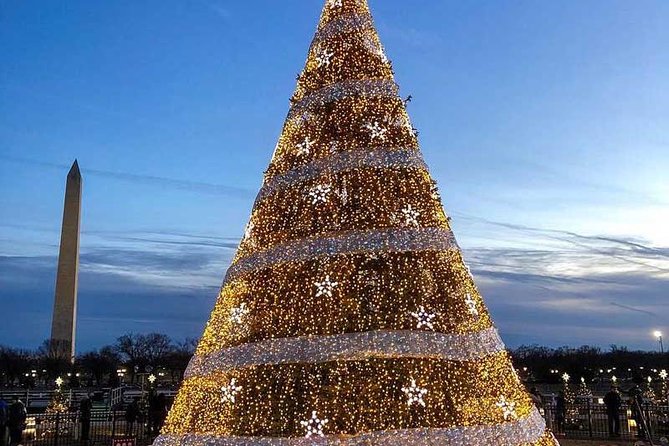 Holiday Lights Tour of Washington DC and Old Town Alexandria - Why the guide matters