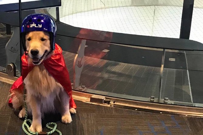 Loudoun Indoor Skydiving Experience with 2 Flights & Personalized Certificate - Why families may get the most from it
