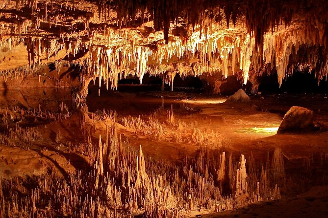 Luray Caverns and Shenandoah Small Group Max 12 Day Tour from D.C - Key points to know before booking