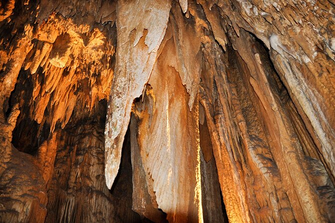 Luray Caverns and Shenandoah Small Group Max 12 Day Tour from D.C - Who should book this Luray and Shenandoah tour?