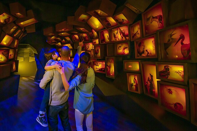 Museum of the Bible Admission Ticket - Why this museum surprises many Washington visitors