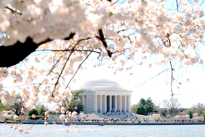 National Mall & Cherry Blossoms Tour with Optional Museum Tickets - Vietnam and Korea: the most emotional stretch
