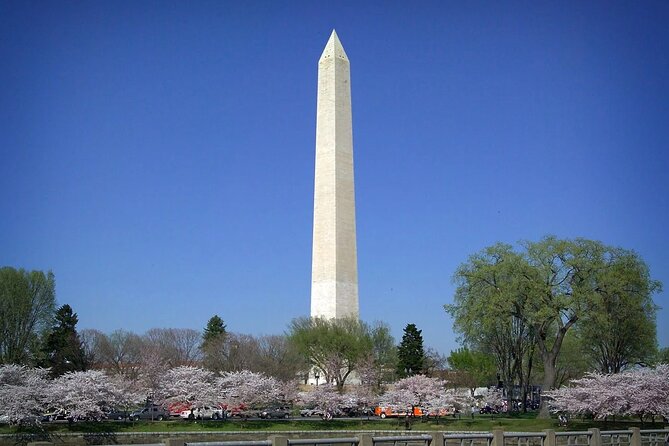 National Mall & Cherry Blossoms with Washington Monument Ticket - A smart first look at Washington’s grand core