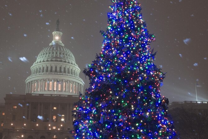 National Mall Monuments Night Tour with 10+ Stops, Entry Tickets - War memorials that deserve more than a quick snapshot