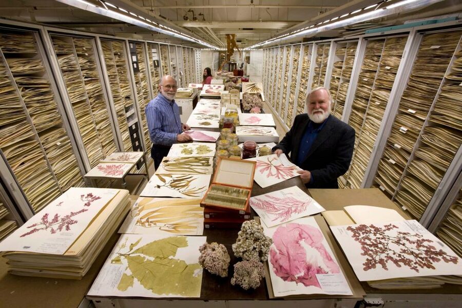 Natural History Museum & American History Museum - From natural wonders to American memory