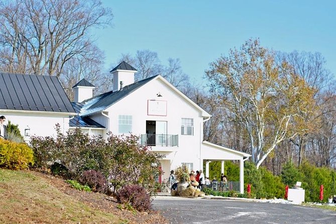Northern Virginia Private Custom Wine Tour and Tasting from DC - Six hours means you need to protect your time