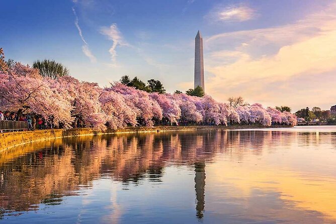 NYC to D.C Day Trip: Thomas Jefferson Memorial to Cherry Blossoms - Key points to know before booking