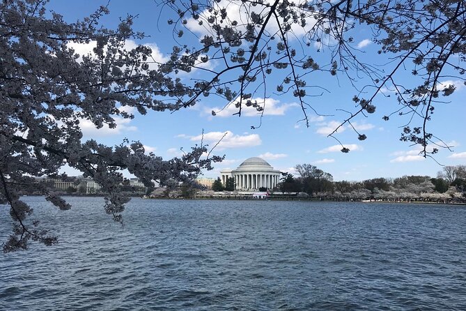 NYC to D.C Day Trip: Thomas Jefferson Memorial to Cherry Blossoms - Why this New York to Washington day trip works