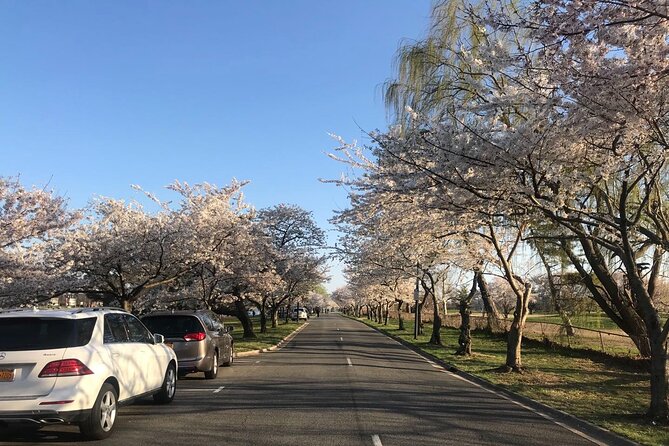 NYC to D.C Day Trip: Thomas Jefferson Memorial to Cherry Blossoms - Thomas Jefferson Memorial in 40 minutes