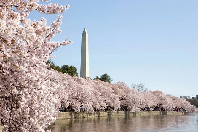Presidential DC: Capitol Hill + DC Bus Tour, US Capitol Entry - Lincoln, Vietnam, Korea, and Vietnam women’s memorials