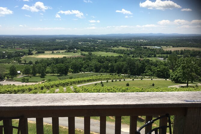 Private Loudoun County Wine Tour from DC with 3 Winery Stops - Fabbioli Cellars: a compact tasting visit