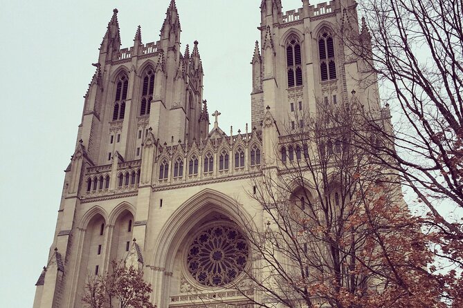 Private Multilingual DC City Tour (Spanish, Portuguese, English) - What the guides add to the experience