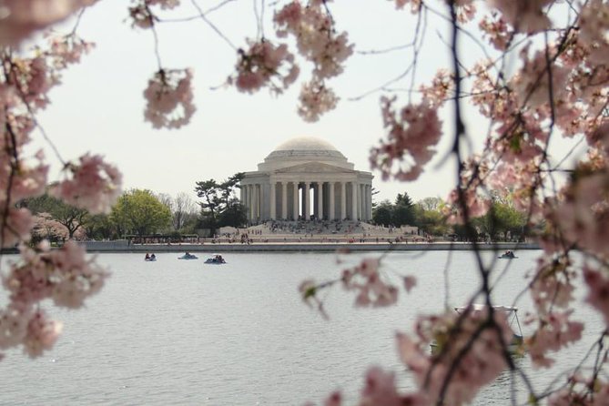 Private Pedicab Tour of DC Monuments and Memorials - Einstein, Constitution Gardens, and the final stops