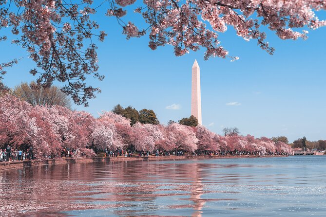 Private Tour of Washington DC - Capitol Hill: the United States Capitol and nearby buildings