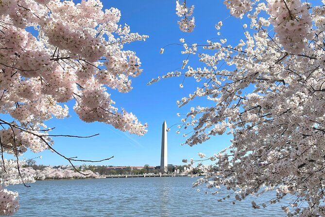 Private Washington DC City Tour | Monuments Tour - Timing, pickup, and comfort