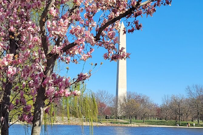 Private Washington DC Tour with Changing of the Guard Ceremony - WWII Memorial and the Monument view