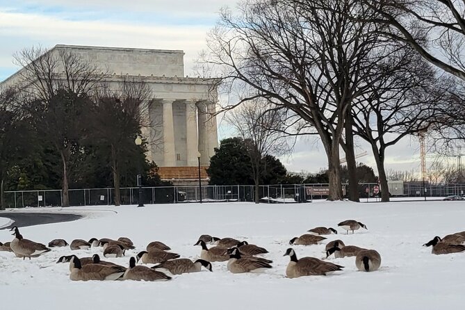 Private Washington DC Tour with Changing of the Guard Ceremony - Lafayette Square and the White House exterior